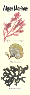 Marca-paginas de algas