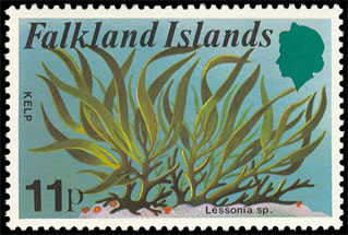 Seaweed on stamp