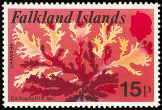 Seaweed on stamp