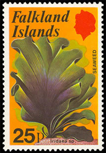 Seaweed on stamp