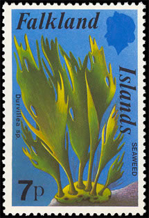 Seaweed on stamp