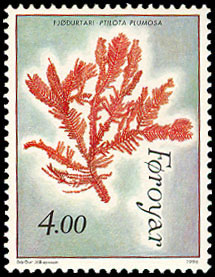 Seaweed on stamp