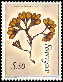 Seaweed on stamp