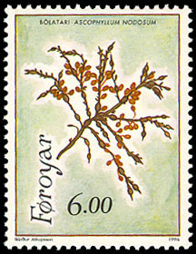 Seaweed on stamp