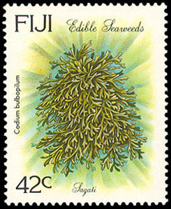 Seaweed on stamp