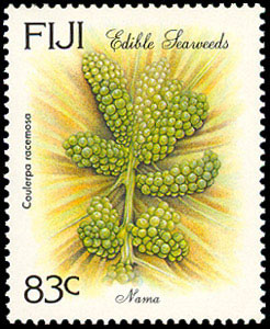 Seaweed on stamp