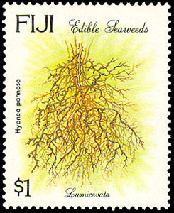 Seaweed on stamp