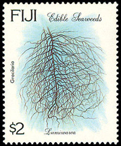 Seaweed on stamp