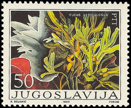 Seaweed on stamp