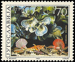 Seaweed on stamp