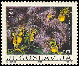 Seaweed on stamp