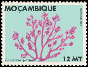 Seaweed on stamp