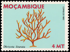 Seaweed on stamp