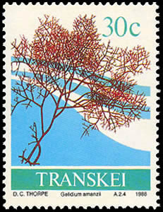 Seaweed on stamp