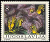 jugoslavia1985_8corallinaofficinalis.jpg (30kb)
